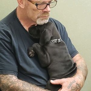 Meet your Posher, Sharon